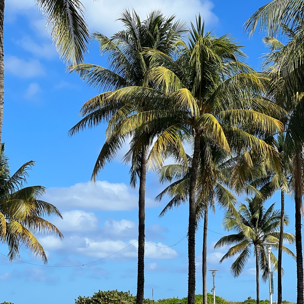 Meet your Posher, Joanna